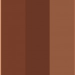 The color of our skin