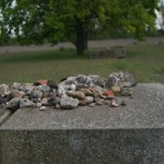 Cemetery Stones for Mom